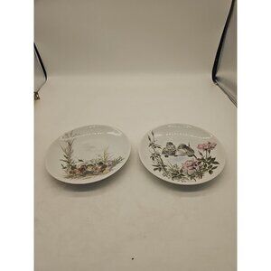 WAND-SCHMUCK-TELLER Porcelain Plate BAVARIA Vohenstrauss Lot Of 2 Bird Plates